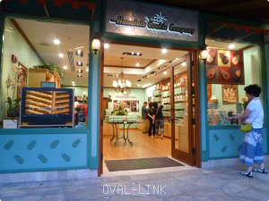 VMD勉強サイト「売場づくりの知恵広場」、更新しました